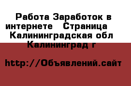 Работа Заработок в интернете - Страница 2 . Калининградская обл.,Калининград г.